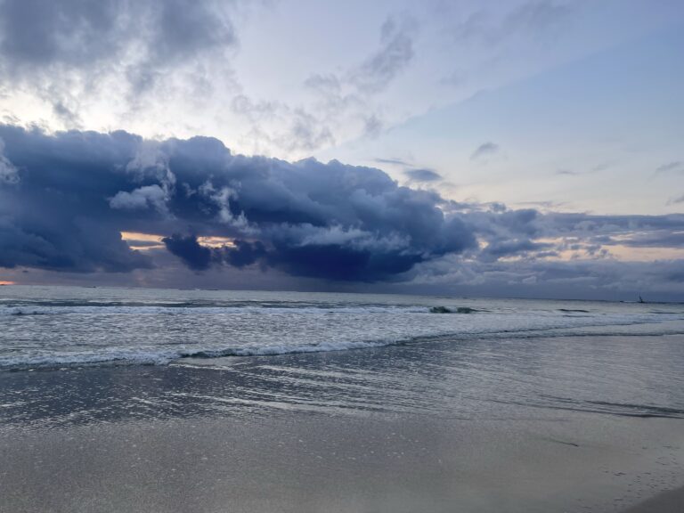 Of earthquakes and Tsunamis